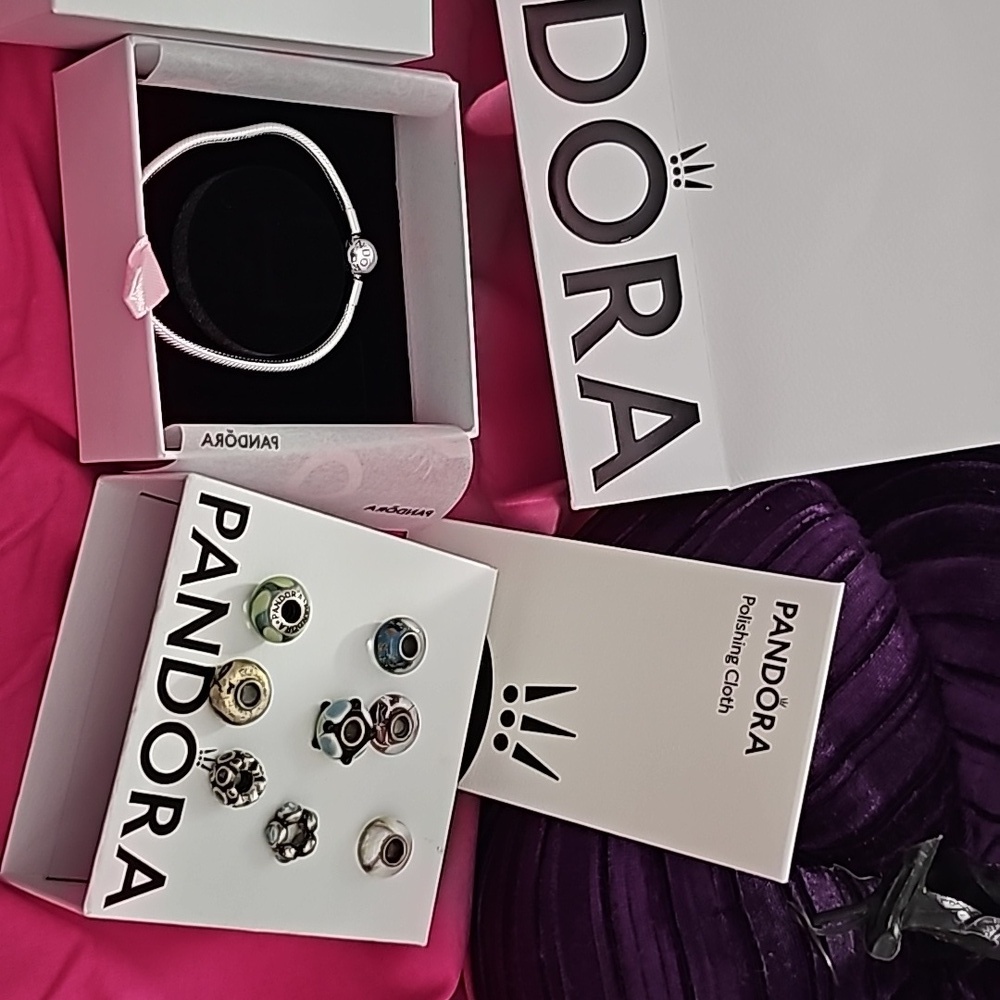 NIB/NIP Pandora Bracelet & Polishing Cloth With (8) Pre-Loved Beads - Picture 9 of 12